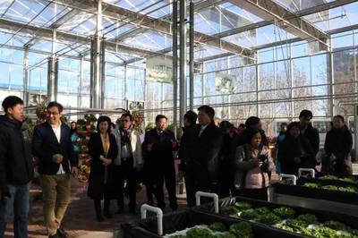 国际合作丨泰国职业教育代表团与唐山职院开展合作交流