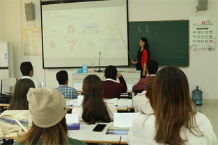 留学生教育学院开展“外国留学生入学体验周”活动，助力海外学子开启新篇章